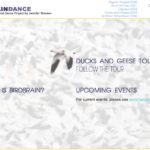 BIRD BRAIN Dance is Live!
